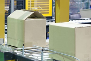 Industrial Packaging of Bags, Boxes, Cases, and Cartons