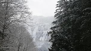 Thursday Tips and Tricks 11: Assemble A Winter Survival Kit!
