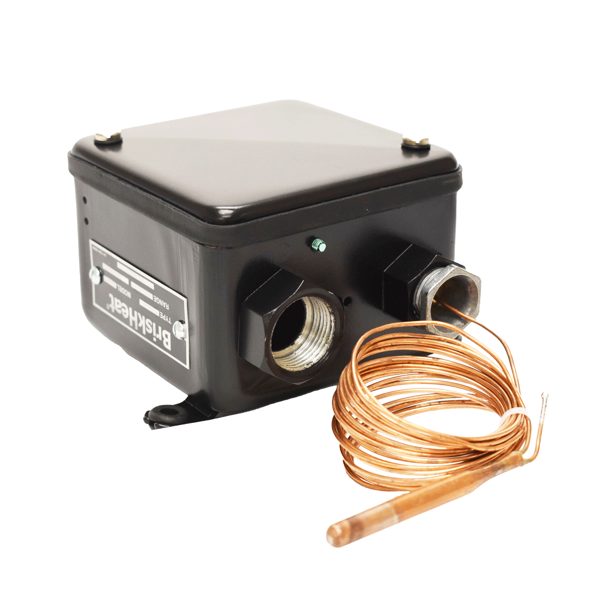All-Purpose Bulb and Capillary Temperature Controller (TB250N-250)