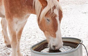 Agricultural trough heating