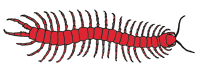 Centipede Logo